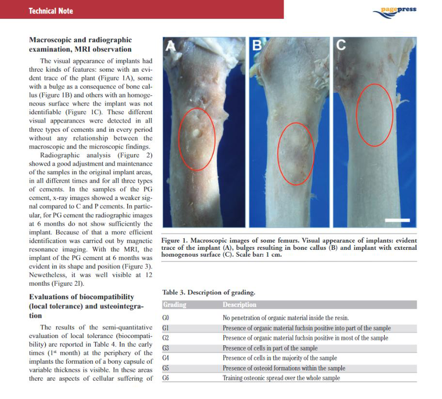 The biocompatibility of bone cements: progress in methodological approach